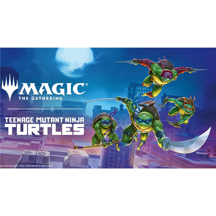 01/03 INSCRIPTION PRE-RELEASE TORTUE NINJA - INDIVIDUELLE (MONS) 01/03 INSCRIPTION PRE-RELEASE TORTUE NINJA - INDIVIDUELLE (MONS)