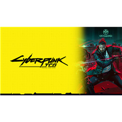 10/10 INSCRIPTION CYBERPUNK CONSTRUIT CASUAL (NAMUR)