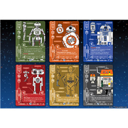 16/11 INSCRIPTION SWU CONSTRUIT DROÏDE (MONS)