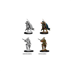 D&D MINIATURES: MALE ELF ROGUE