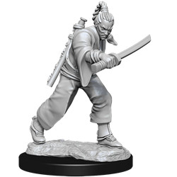 D&D MINIATURES: MALE HUMAN MONK