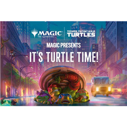 INSCRIPTION PICK TWO DRAFT "IT'S TURTLE TIME" (NAMUR)