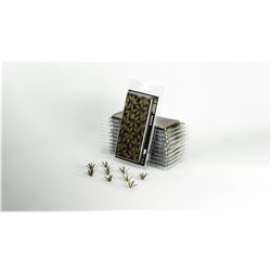 LASER PLANTS - AGAVE