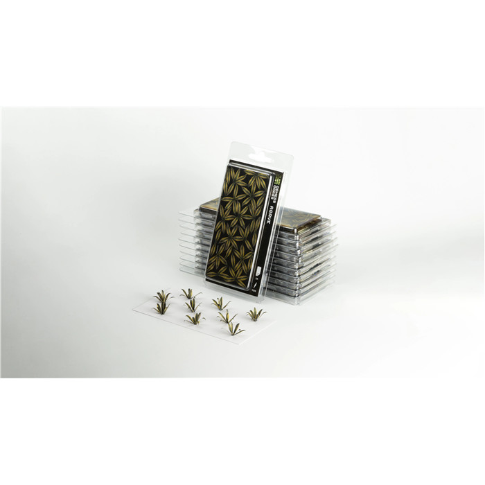 LASER PLANTS - AGAVE LASER PLANTS - AGAVE