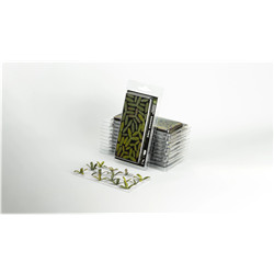 LASER PLANTS - BANANA TREE