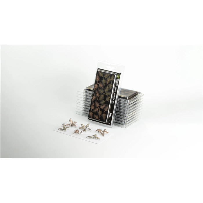 LASER PLANTS - DRY BRACKEN LASER PLANTS - DRY BRACKEN