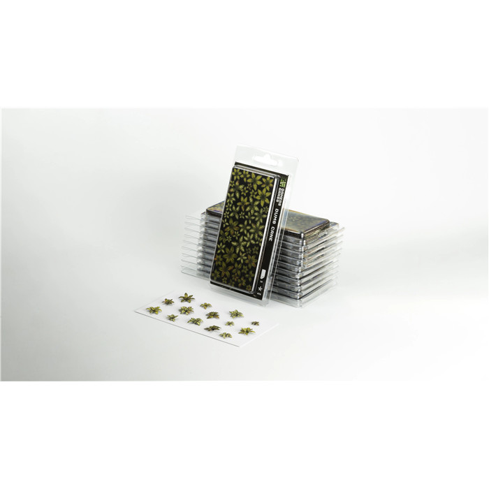 LASER PLANTS - DUMB CANE LASER PLANTS - DUMB CANE