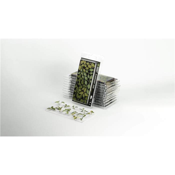 LASER PLANTS - ELEPHANT EAR LASER PLANTS - ELEPHANT EAR