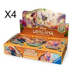 LORCANA - WILDS UNKNOWN CASE