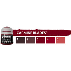 TONE PRO: CARMINE BLADES 12ML PACK COULEUR