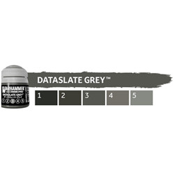 TONE PRO: DATASLATE GREY 12ML PACK COULEUR